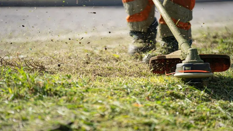 String trimmer edging the border of a lawn
