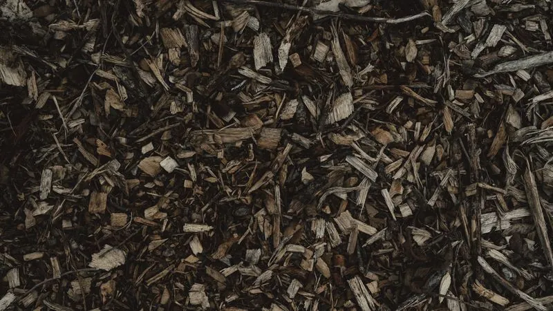 Fresh bark mulch spread across a garden bed