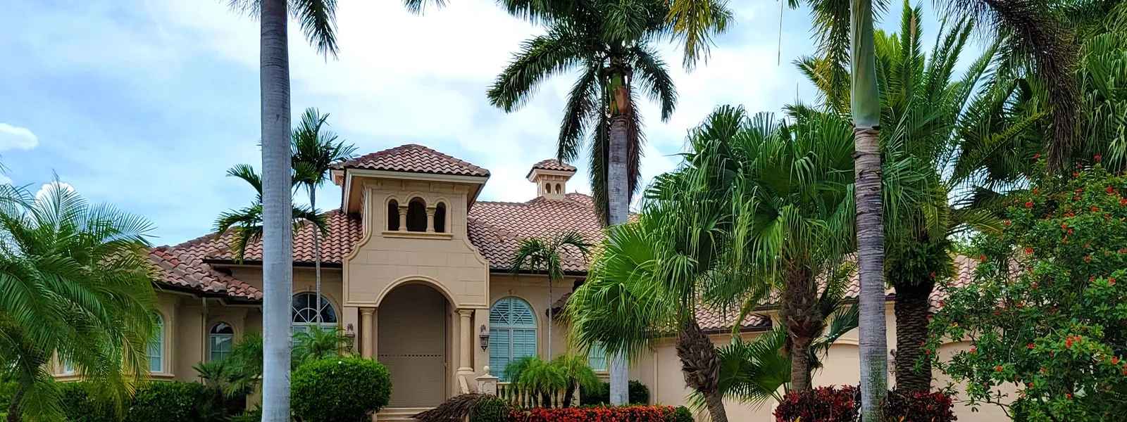 Manicured Florida front yard with palms and trimmed hedges