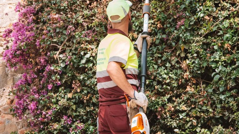 Worker trimming a tall flowering hedge with a pole trimmer